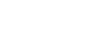 Web-Dr.Lang_logo-blanco
